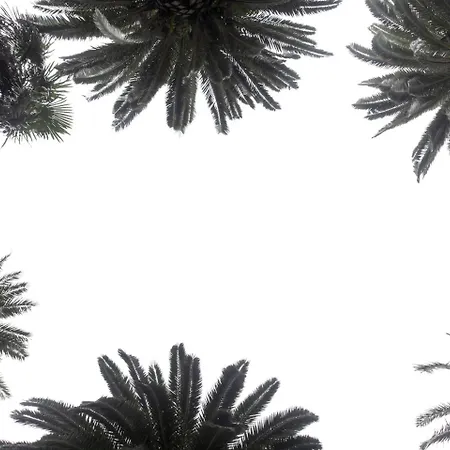 Continental Hotel 4*