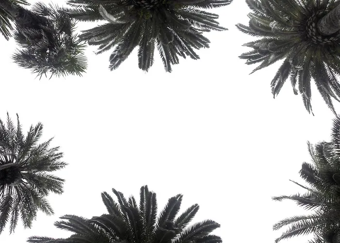 Continental Hotel 4*